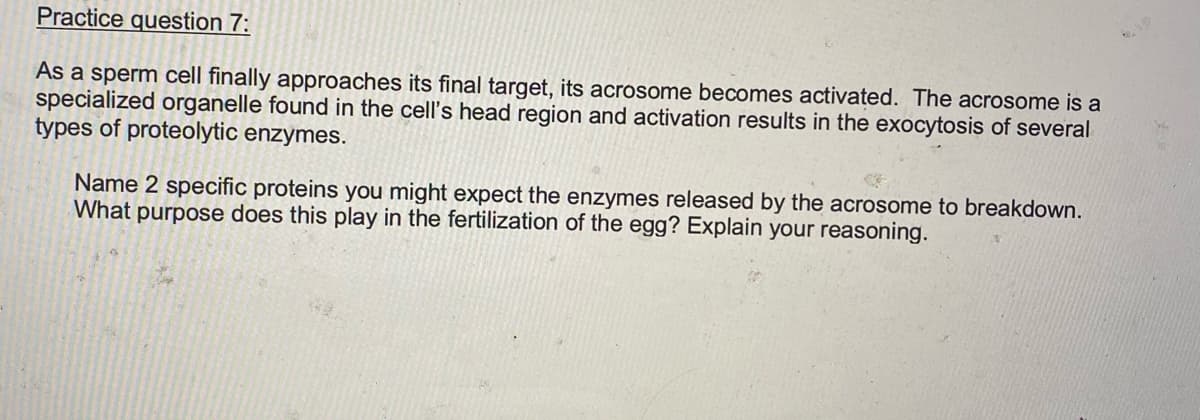 Practice question 7:
As a sperm cell finally approaches its final target, its acrosome becomes activated. The acrosome is a
specialized organelle found in the cell's head region and activation results in the exocytosis of several
types of proteolytic enzymes.
Name 2 specific proteins you might expect the enzymes released by the acrosome to breakdown.
What purpose does this play in the fertilization of the egg? Explain your reasoning.
