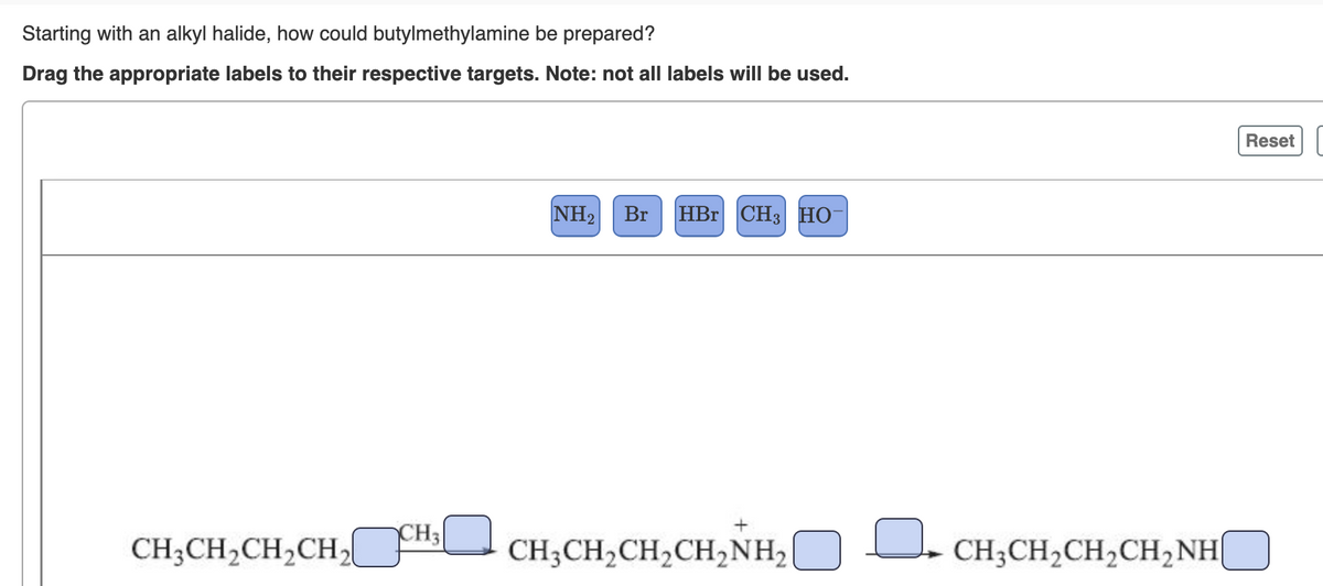 Starting with an alkyl halide, how could butylmethylamine be prepared?
Drag the appropriate labels to their respective targets. Note: not all labels will be used.
Reset
NH2
Br
HBr CH3 НО
CH3
CH;CH,CH,CH,l
CH;CH,CH2CH,NH2
CH;CH2CH2CH2NH(
