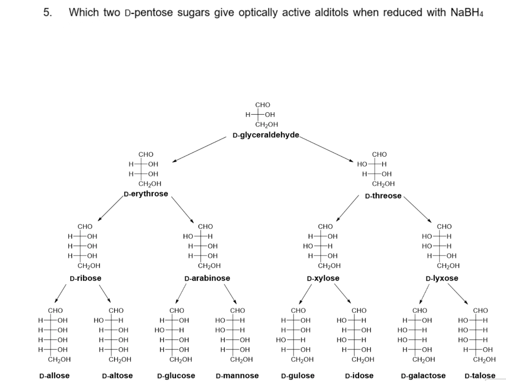 5.
Which two D-pentose sugars give optically active alditols when reduced with NABH4
CHO
н— он
CH2OH
D-glyceraldehyde.
Сно
CHO
H HOH
H HOH
CH2OH
„D-erythrose
HO H
H HOH
ČH2OH
D-threose
CHO
CHO
CHO
CHO
-OH
HO-H
H OH
Но
-O-
H +OH
но
-H
но-
H-
HFOH
CH2OH
H-
-OH
H +OH
H FOH
CH2OH
CH2OH
ČH2OH
D-ribose
D-arabinose
D-хylose
D-lyхose
CHO
CHO
CHO
CHO
Сно
CHO
CHO
CHO
HO-H
HO-H
HO-H
H HOH
но—н
но—н
H FOH
H HOH
H +OH
HO-H
H FOH
H-
-O-
HO-H
но-
H OH
H-
-O-
но
но—н
H FOH
HO-H
H +OH
CH2OH
H HOH
H
-OH
H HOH
H FOH
но
FH
HHOH
ČH2OH
HHOH
ČH2OH
H-
-OH
H
-OH
H-
-OH
-OH
ČH2OH
ČH2OH
CH2OH
CH2OH
ČH2OH
D-allose
D-altose
D-glucose
D-mannose
D-gulose
D-idose
D-galactose
D-talose
