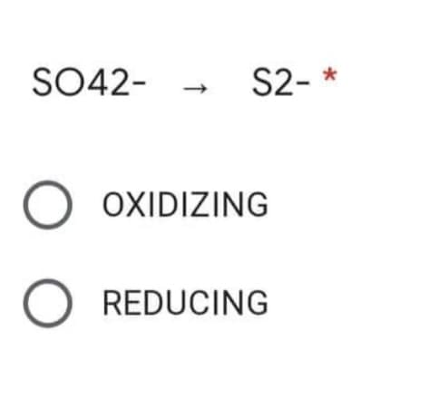 SO42-
оо
S2- *
OXIDIZING
REDUCING