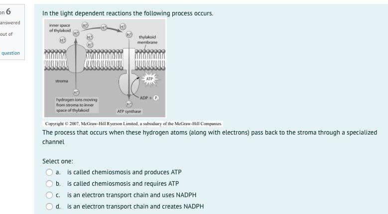 on 6
In the light dependent reactions the following process occurs.
answered
inner space
of thylakoid
out of
thylakoid
membrane
question
ATP
stroma
ADP
hydrogen ions moving
from stroma to inner
space of thylakoid
ATP synthase
Copyright © 2007, MeGraw-Hill Ryerson Limited, a subsidiary of the MeGiraw-Hill Companies
The process that occurs when these hydrogen atoms (along with electrons) pass back to the stroma through a specialized
channel
Select one:
a. is called chemiosmosis and produces ATP
b. is called chemiosmosis and requires ATP
is an electron transport chain and uses NADPH
C.
d. is an electron transport chain and creates NADPH
