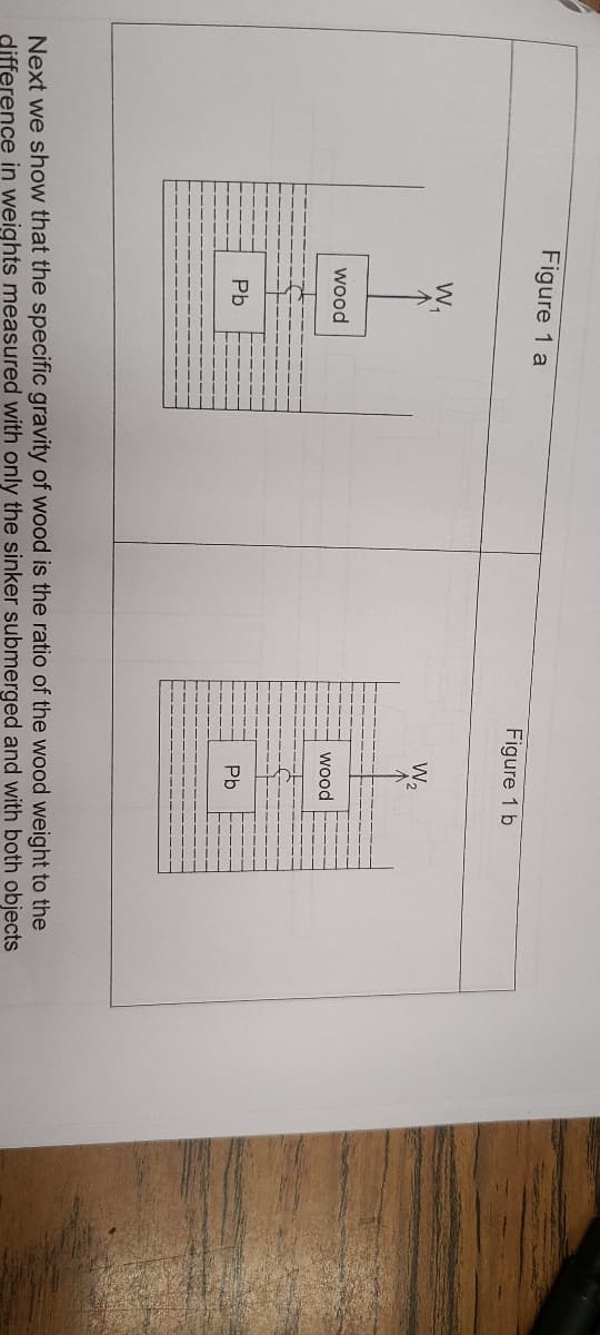 Figure 1 a
Figure 1 b
W,
W,
wood
wood
Pb
Pb
Next we show that the specific gravity of wood is the ratio of the wood weight to the
difference in weights measured with only the sinker submerged and with both objects
