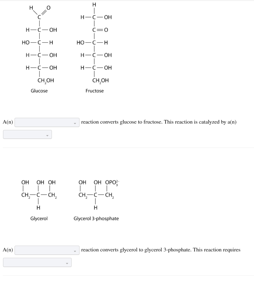 A(n)
A(n)
H-C-OH
HO-C-H
H-C-OH
H-C-OH
T
CH₂OH
OH
I
Glucose
OH OH
|
CH₂-C-CH₂
H
Glycerol
H
H-C-OH
C=O
HO-C-H
H-C-OH
H-C-OH
|
CH₂OH
Fructose
reaction converts glucose to fructose. This reaction is catalyzed by a(n)
OH OH OPO²-
CH₂-C-CH₂
H
Glycerol 3-phosphate
reaction converts glycerol to glycerol 3-phosphate. This reaction requires