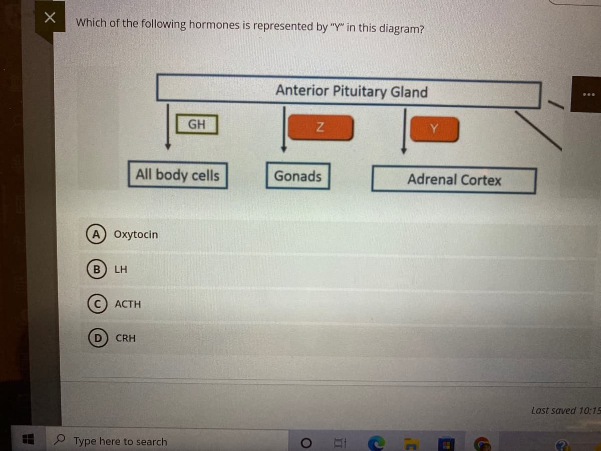 Which of the following hormones is represented by "Y" in this diagram?
Anterior Pituitary Gland
GH
All body cells
Gonads
Adrenal Cortex
Oxytocin
B
LH
АСТH
CRH
Last saved 10:15
Type here to search
