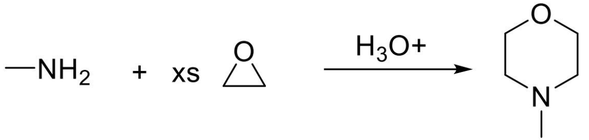 -NH₂
+ XS
H3O+
N