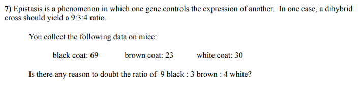 7) Epistasis is a phenomenon in which one gene controls the expression of another. In one case, a dihybrid
cross should yield a 9:3:4 ratio.
You collect the following data on mice:
black coat: 69
brown coat: 23
white coat: 30
Is there any reason to doubt the ratio of 9 black : 3 brown : 4 white?
