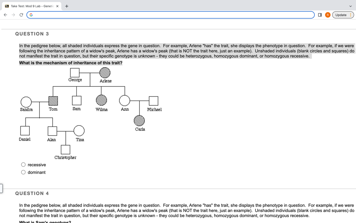 Bb Take Test: Mod 9 Lab - Genetic X +
←
]
C
G
QUESTION 3
In the pedigree below, all shaded individuals express the gene in question. For example, Arlene "has" the trait, she displays the phenotype in question. For example, if we were
following the inheritance pattern of a widow's peak, Arlene has a widow's peak (that is NOT the trait here, just an example). Unshaded individuals (blank circles and squares) do
not manifest the trait in question, but their specific genotype is unknown - they could be heterozygous, homozygous dominant, or homozygous recessive.
What is the mechanism of inheritance of this trait?
Sandra
Daniel
recessive
dominant
Tom
990
Alan
QUESTION 4
George
Sam
Tina
Christopher
Arlene
Wilma
Ann
O
Carla
R Update
Michael
In the pedigree below, all shaded individuals express the gene in question. For example, Arlene "has" the trait, she displays the phenotype in question. For example, if we were
following the inheritance pattern of a widow's peak, Arlen a widow's peak (that is NOT the trait here, just an example). Unshaded individuals (blank circles and squares) do
not manifest the trait in question, but their specific genotype is unknown - they could be heterozygous, homozygous dominant, or homozygous recessive.
What is Sam's genotype?