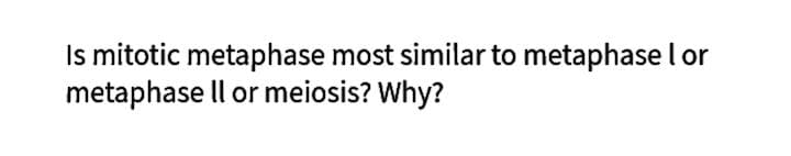 Is mitotic metaphase most similar to metaphase l or
metaphase ll or meiosis? Why?
