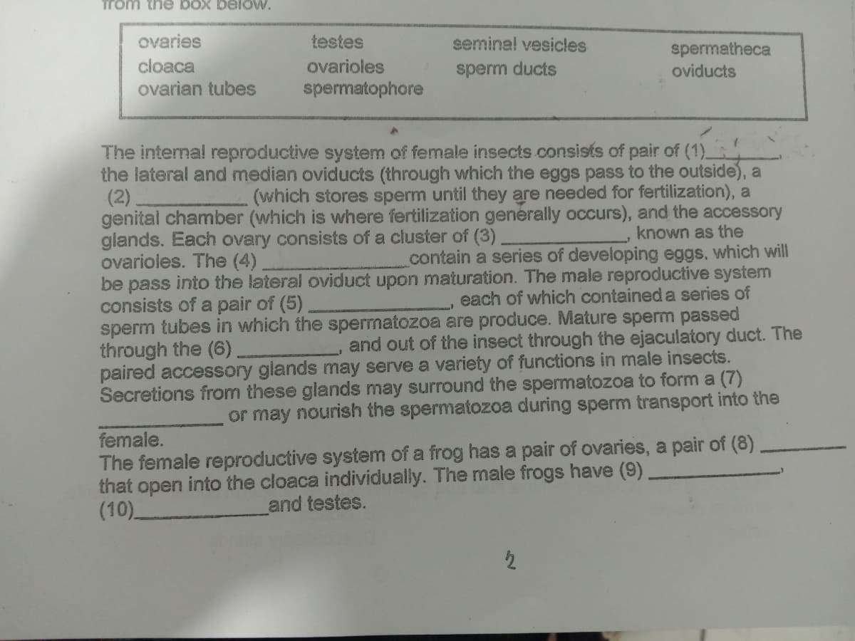 rom the bOX below.
ovaries
testes
seminal vesicles
cloaca
ovarian tubes
spermatheca
oviducts
ovarioles
sperm ducts
spermatophore
The internal reproductive system of female insects.consists of pair of (1)_
the lateral and median oviducts (through which the eggs pass to the outside), a
(2)
genital chamber (which is where fertilization generally occurs), and the accessory
glands. Each ovary consists of a cluster of (3)
ovarioles. The (4)
be pass into the lateral oviduct upon maturation. The male reproductive system
consists of a pair of (5).
sperm tubes in which the spermatozoa are produce. Mature sperm passed
through the (6)_
paired accessory glands may serve a variety of functions in male insects.
Secretions from these glands may surround the spermatozoa to form a (7)
(which stores sperm until they are needed for fertilization), a
known as the
contain a series of developing eggs, which will
each of which contained a series of
and out of the insect through the ejaculatory duct. The
or may nourish the spermatozoa during sperm transport into the
female.
The female reproductive system of a frog has a pair of ovaries, a pair of (8)
that open into the cloaca individually. The male frogs have (9)
(10)
and testes.
