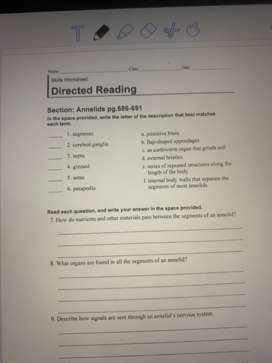 Name
Class
Date
Skills Worksheet
Directed Reading
Section: Annelids pg.686-691
In the space provided, write the letter of the description that best matches
each term.
1. segments
a. primitive brain
b. flap-shaped appendages
c. an earthworm organ that grinds soil
2. cerebral ganglia
3. septa
d. external bristles
4. gizzard
e. series of repeated structures along the
length of the body
f. internal body walls that separate the
segments of most annelids
5. setae
6. parapodia
Read each question, and write your answer in the space provided.
7. How do nutrients and other materials pass between the segments of an annelid?
8. What organs are found in all the segments of an annelid?
9. Describe how signals are sent through an annelid's nervous system.
