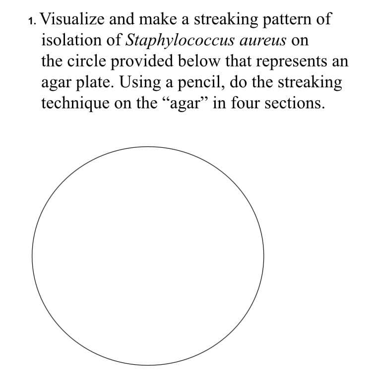 1. Visualize and make a streaking pattern of
isolation of Staphylococcus aureus on
the circle provided below that represents an
agar plate. Using a pencil, do the streaking
technique on the "agar" in four sections.
