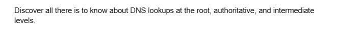 Discover all there is to know about DNS lookups at the root, authoritative, and intermediate
levels.