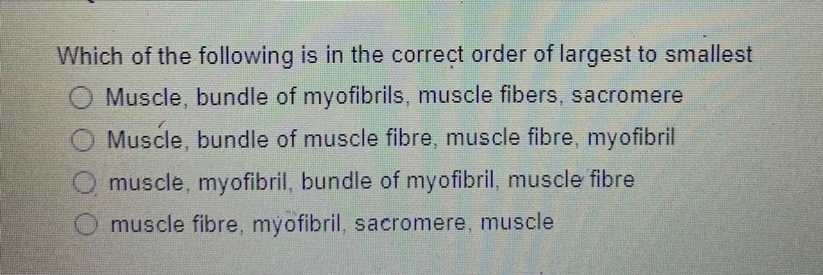 Which of the following is in the correct order of largest to smallest
O Muscle, bundle of myofibrils, muscle fibers, sacromere
O Muscle, bundle of muscle fibre, muscle fibre, myofibril
Omuscle, myofibril, bundle of myofibril. muscle fibre
Omuscle fibre, myofibril, sacromere, muscle
