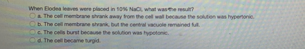 When Elodea leaves were placed in 10% NaCl, what was the result?
a. The cell membrane shrank away from the cell wall because the solution was hypertonic.
b. The cell membrane shrank, but the central vacuole remained full.
c. The cells burst because the solution was hypotonic.
d. The cell became turgid.
