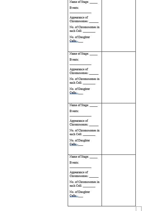 Name of Stage:
Events:
Appearance of
Chromosomes:
No. of Chromosomes in
each Cell:
No. of Daughter
Cells:
Name of Stage:
Events:
Appearance of
Chromosomes:
No. of Chromosomes in
each Cell:
No. of Daughter
Cells:
Name of Stage:
Events:
Арpearance of
Chromosomes:
No. of Chromosomes in
each Cell:
No. of Daughter
Calls:
Name of Stage:
Events:
Appearance of
Chromosomes:
No. of Chromosomes in
each Cell:
No. of Daughter
Calls:
