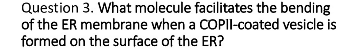 Question 3. What molecule facilitates the bending
of the ER membrane when a COPII-coated vesicle is
formed on the surface of the ER?
