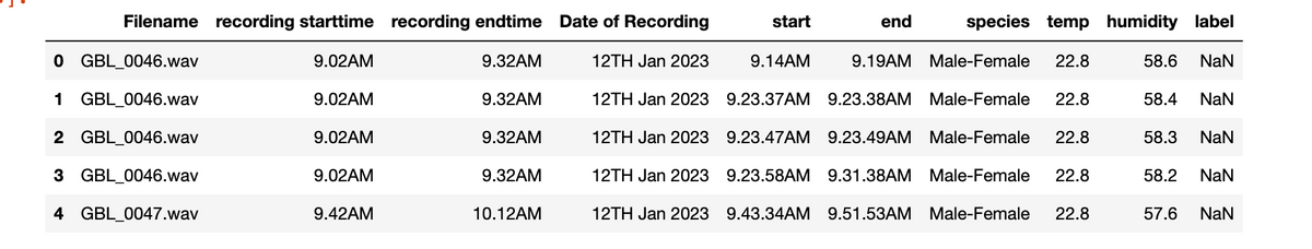 Filename recording starttime recording endtime Date of Recording
9.02AM
0 GBL 0046.wav
1 GBL_0046.wav
2 GBL_0046.wav
3 GBL 0046.wav
4 GBL_0047.wav
9.02AM
9.02AM
9.02AM
9.42AM
9.32AM
9.32AM
9.32AM
9.32AM
10.12AM
12TH Jan 2023
12TH Jan 2023
12TH Jan 2023
12TH Jan 2023
12TH Jan 2023
start
species temp humidity label
9.19AM Male-Female 22.8
end
9.14AM
9.23.37AM 9.23.38AM Male-Female 22.8
22.8
9.23.47AM 9.23.49AM Male-Female
9.23.58AM 9.31.38AM Male-Female 22.8
9.43.34AM 9.51.53AM Male-Female 22.8
58.6 NaN
58.4 NaN
58.3 NaN
58.2 NaN
57.6 NaN