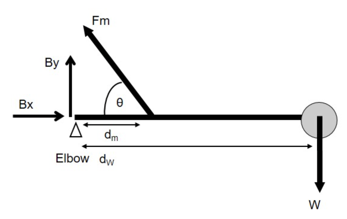 Bx
By
Fm
Ө
dm
Elbow dw
W