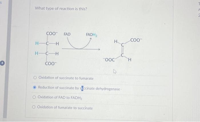 S
What type of reaction is this?
COO™
H—C—H
HC H
COO-
FAD
FADH₂
1
OOC
4
O Oxidation of succinate to fumarate
Reduction of succinate by succinate dehydrogenase
Oxidation of FAD to FADH₂
O Oxidation of fumarate to succinate
COO™
- 4 W