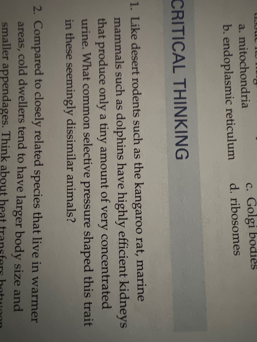 C. Golgi bodies
d. ribosomes
a. mitochondria
b. endoplasmic reticulum
CRITICAL THINKING
1. Like desert rodents such as the kangaroo rat, marine
mammals such as dolphins have highly efficient kidneys
that produce only a tiny amount of very concentrated
urine. What common selective pressure shaped this trait
in these seemingly dissimilar animals?
2. Compared to closely related species that live in warmer
areas, cold dwellers tend to have larger body size and
smaller appendages. Think about heat
