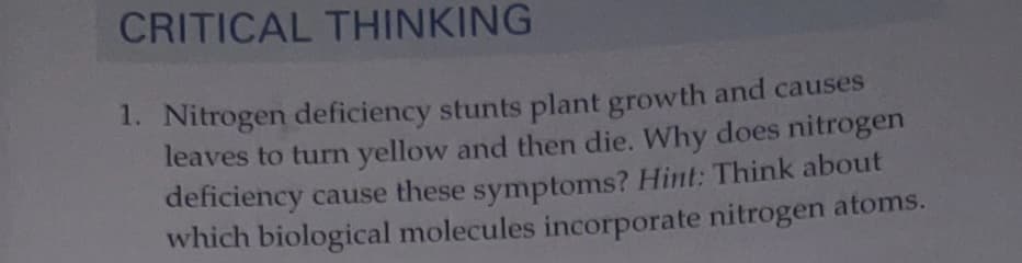 CRITICAL THINKING
1. Nitrogen deficiency stunts plant growth and causes
leaves to turn yellow and then die. Why does nitrogen
deficiency cause these symptoms? Hint: Think about
which biological molecules incorporate nitrogen atoms.
