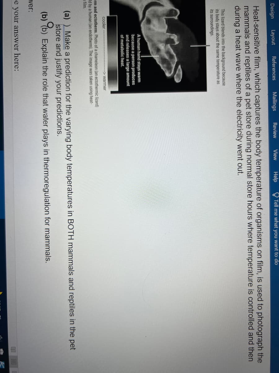 Design
Layout
References
Mailings
Review
View
Help
Tell me what you want to do
Heat-sensitive film, which captures the body temperature of organisms on film, is used to photograph the
mammals and reptiles of a pet store during normal store hours where temperature is controlled and then
during a heat wave where the electricity went out.
This lizard blends into the background because
its body stays about the same temperature as
its surroundings.
A human hand stays warm
because a person produces
and releases a large amount
of metabolic heat.
cooler
> warmer
erm and ectotherm. Photo of a chameleon (an ectothermic lizard)
Id by a human (an endotherm). The image was taken using heat-
e film.
(a) ) Make a prediction for the varying body temperatures in BOTH mammals and reptiles in the pet
store and justify your predictions.
(b) (b) Explain the role that water plays in thermoregulation for mammals.
wer:
e your answer here:
