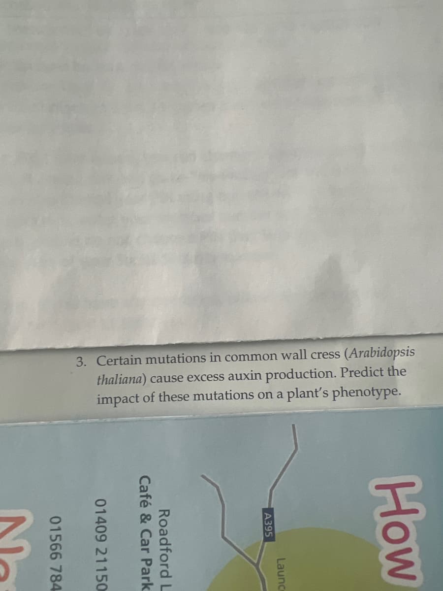 3. Certain mutations in common wall cress (Arabidopsis
thaliana) cause excess auxin production. Predict the
impact of these mutations on a plant's phenotype.
How
Laund
A395
Roadford L
Café & Car Park
01409 21150
01566 784
