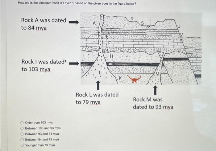 How old is the dinosaur fossil in Layer K based on the given ages in the figure below?
Rock A was dated
to 84 mya
Rock I was dated
to 103 mya
Older than 103 mya
O Between 103 and 93 mya
O Between 93 and 84 mya
O Between 84 and 79 mya
Younger than 79 mya
BE
↑
Rock L was dated
to 79 mya
K
R
برای
N
Rock M was
dated to 93 mya
U
O