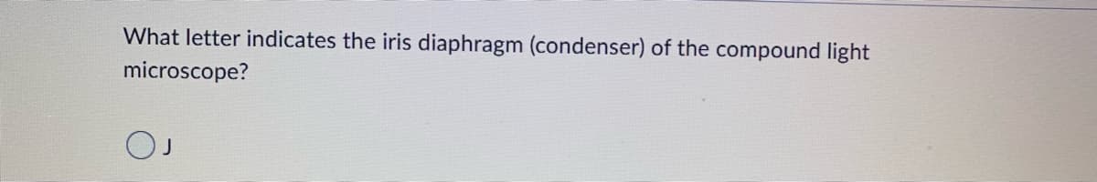 What letter indicates the iris diaphragm (condenser) of the compound light
microscope?