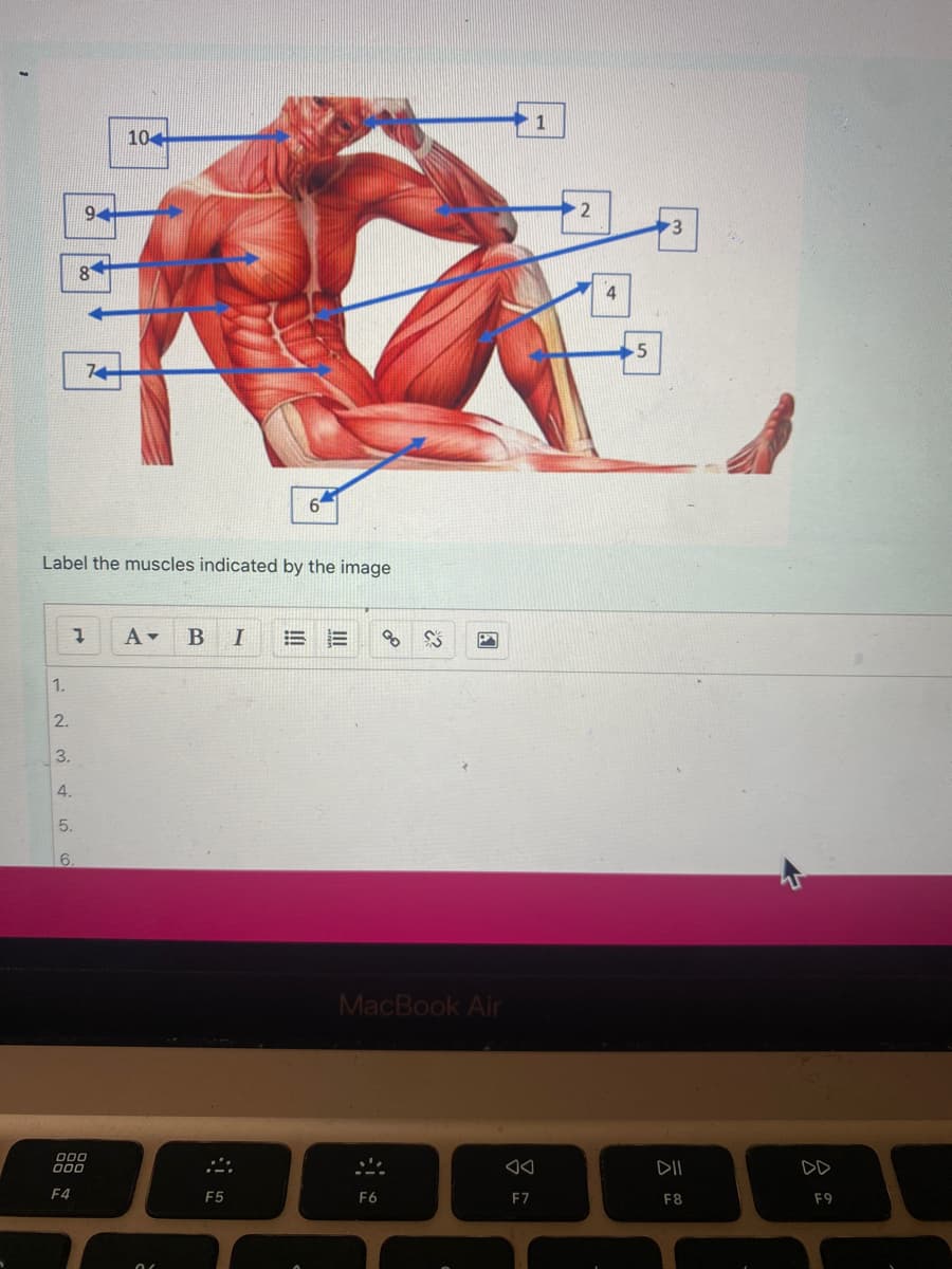 - 1
10
94
3
5
74
6'
Label the muscles indicated by the image
1.
2.
3.
4.
5.
6.
MacBook Air
000
000
DII
DD
F4
F5
F6
F7
F8
F9
