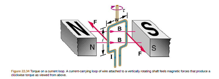 в
Figure 22.34 Torque on a current loop. A current-carrying loop of wire attached to a vertically rotating shaft feels magnetic forces that produce a
clockwise torque as viewed from above.
