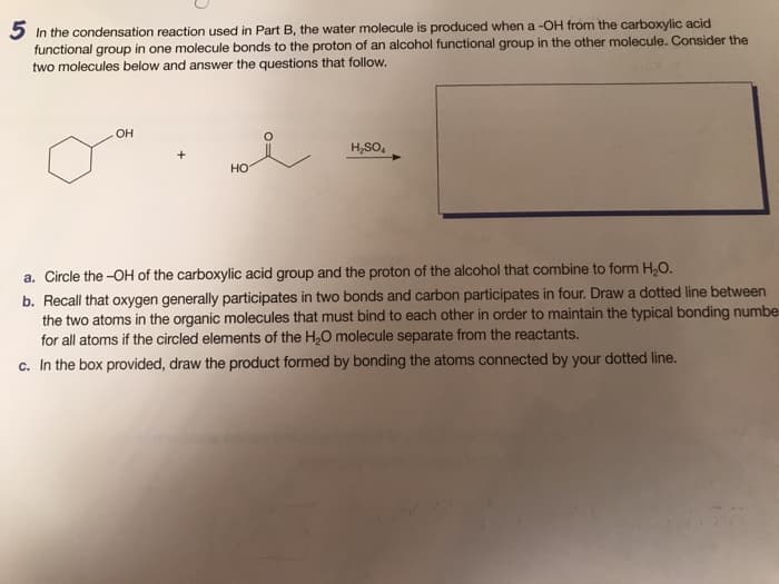 5 In the condensation reaction used in Part B, the water molecule is produced when a -OH from the carboxylic acid
functional group in one molecule bonds to the proton of an alcohol functional group in the other molecule. Consider the
two molecules below and answer the questions that follow.
OH
HO
H₂SO4
a. Circle the -OH of the carboxylic acid group and the proton of the alcohol that combine to form H₂O.
b. Recall that oxygen generally participates in two bonds and carbon participates in four. Draw a dotted line between
the two atoms in the organic molecules that must bind to each other in order to maintain the typical bonding numbe
for all atoms if the circled elements of the H₂O molecule separate from the reactants.
c. In the box provided, draw the product formed by bonding the atoms connected by your dotted line.