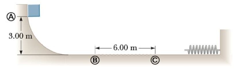 (A)
3.00 m
B
6.00 m
wwwww