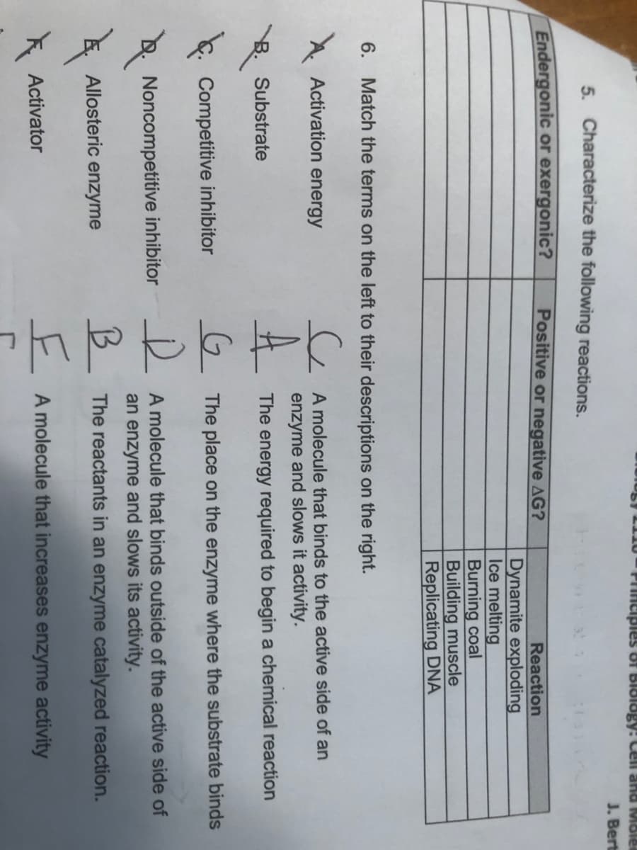 L10- PHineiples of BIology: Cell and Mole
J. Bert
5. Characterize the following reactions.
Endergonic or exergonic?
Positive or negative AG?
Reaction
Dynamite exploding
Ice melting
Burning coal
Building muscle
Replicating DNA
6. Match the terms on the left to their descriptions on the right.
A molecule that binds to the active side of an
enzyme and slows it activity.
Activation energy
Substrate
The energy required to begin a chemical reaction
Competitive inhibitor
o The place on the enzyme where the substrate binds
A molecule that binds outside of the active side of
an enzyme and slows its activity.
Noncompetitive inhibitor
Allosteric enzyme
The reactants in an enzyme catalyzed reaction.
Activator
t A molecule that increases enzyme activity
