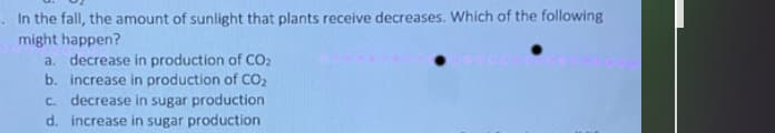 In the fall, the amount of sunlight that plants receive decreases. Which of the following
might happen?
a. decrease in production of CO₂
b. increase in production of CO₂
c. decrease in sugar production
d. increase in sugar production
