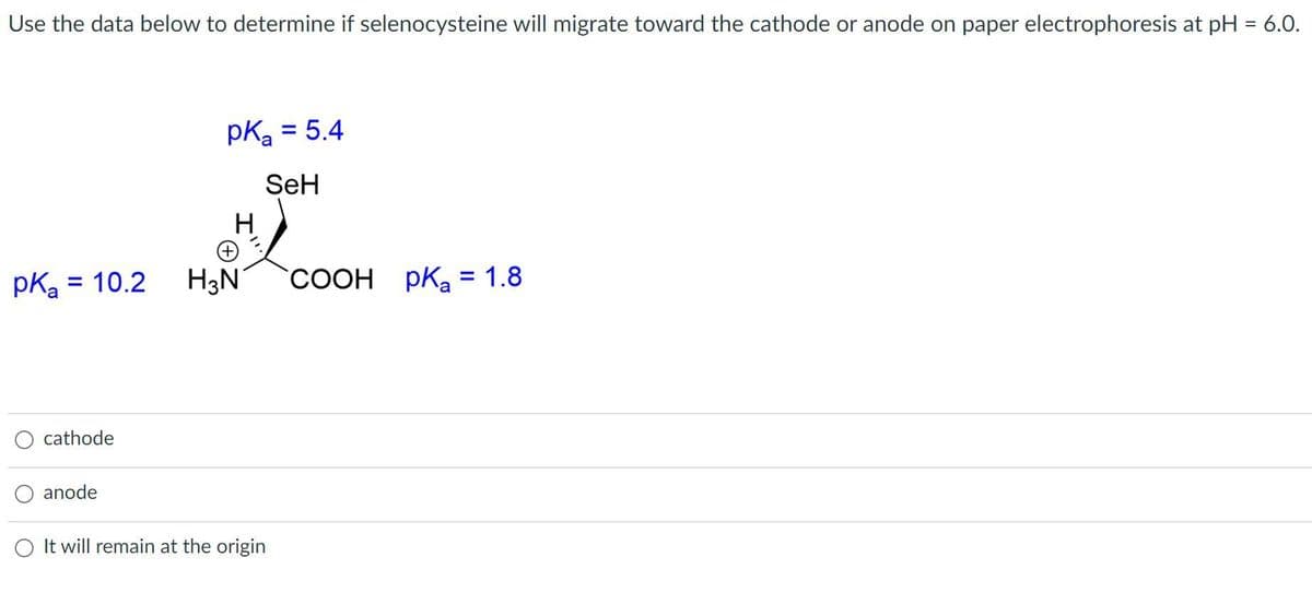 Use the data below to determine if selenocysteine will migrate toward the cathode or anode on paper electrophoresis at pH = 6.0.
pka = 5.4
%3D
SeH
H
pKa
= 10.2
H3N
СООН рК, %3D 1.8
cathode
anode
It will remain at the origin
