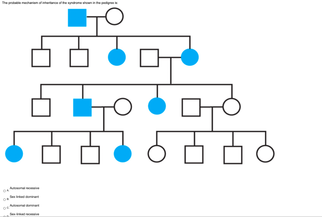 The probable mechanism of inheritance of the syndrome shown in the pedigree is:
Autosomal recessive
O A.
Sex linked dominant
OB
Autosomal dominant
Sex-linked recessive
