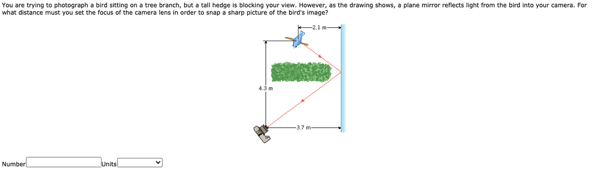 You are trying to photograph a bird sitting on a tree branch, but a tall hedge is blocking your view. However, as the drawing shows, a plane mirror reflects light from the bird into your camera. For
what distance must you set the focus of the camera lens in order to snap a sharp picture of the bird's image?
2.1 m
4.3 m
-3.7 m
Number
Units
