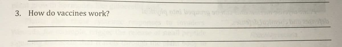 3. How do vaccines work?
uig otni boquong