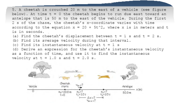 5. A cheetah is crouched 20 m to the east of a vehicle (see figure
below). At time t = 0 the cheetah begins to run due east toward an
antelope that is 50 m to the east of the vehicle. During the first
2 s of the chase, the cheetah's x-coordinate varies with time
according to the equation x = 20 + 5t^2, where x is in meters and t
is in seconds.
(a) Find the cheetah's displacement between t = 1 s and t = 2 s.
(b) Find its average velocity during that interval.
(c) Find its instantaneous velocity at t = 1 s
(d) Derive an expression for the cheetah's instantaneous velocity
as a function of time, and use it to find the instantaneous
velocity at t = 1.0 s and t = 2.0 s.
Cheetah
Venicle
Starts
Antelope
x (m)
Xo-20.0m
50.0m
f-10s
TAx-?
Var?
f20s
