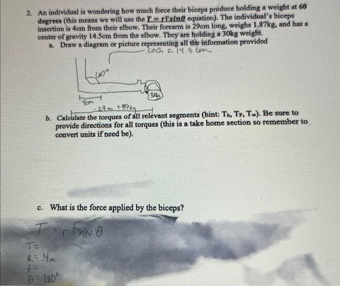 2. An individual is wondering how much force their biceps produce holding a weight at 60
degrees (this means we will use the TrEsine equation). The individual's biceps
insertion is 4cm from their elbow. Their forearm is 29cm long, weighs 1.87kg, and has a
center of gravity 14.5cm from the elbow. They are holding a 30kg weight.
a. Draw a diagram or picture representing all the information provided
COG 14.5 cm
T=
H
Loo
·29m 1.87kg
b. Calculate the torques of all relevant segments (hint: Tb, TF, Tw). Be sure to
provide directions for all torques (this is a take home section so remember to
convert units if need be).
c. What is the force applied by the biceps?
faiN O
D = Leoº
4
Yem
C
30%