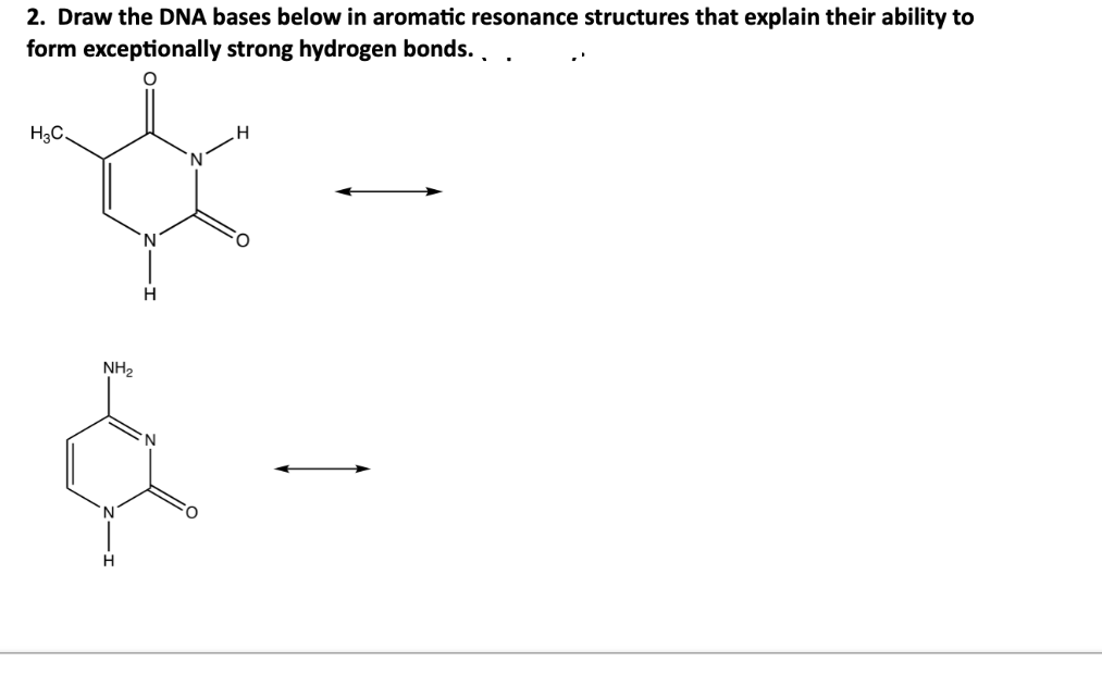 2. Draw the DNA bases below in aromatic resonance structures that explain their ability to
form exceptionally strong hydrogen bonds. .
H3C.
H
NH2
H
