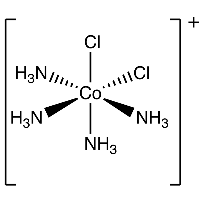 +
CI
Co.C/
NH3
H3N,
H3N
NH3
