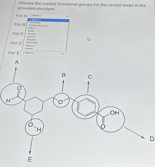 Choose the correct functional groups for the circled areas in the
provided structure.
For A
H
For B
[ Select]
[Select]
Aromatic
Carboxylic acid
Ether
Ester
For C Amide
Amine
Alcohol
Aldehyde
Ketone
Halide
For E [Select]
A
For D
E
H
B
C
O
LOH
D