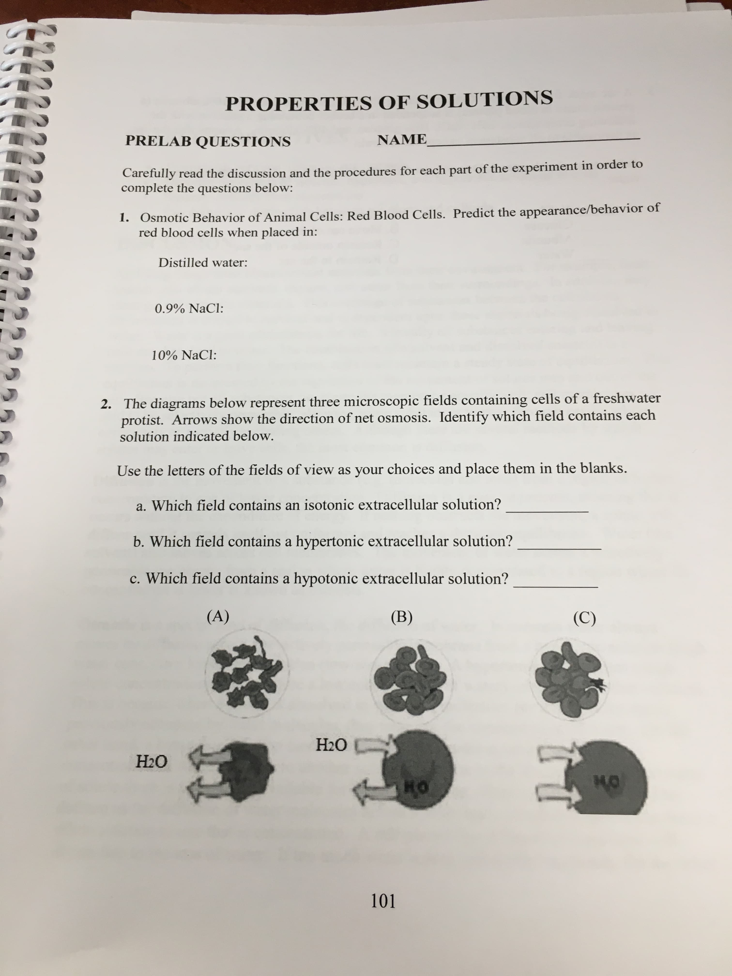 PROPERTIES OF SOLUTIONS
PRELAB QUESTIONS
NAME
Carefully read the discussion and the procedures for each part of the experiment in order to
complete the questions below:
1. Osmotic Behavior of Animal Cells: Red Blood Cells. Predict the appearance/behavior of
red blood cells when placed in:
Distilled water:
0.9% NaCl:
10% NaCl
2. The diagrams below represent three microscopic fields containing cells of a freshwater
protist. Arrows show the direction of net osmosis. Identify which field contains each
solution indicated below.
Use the letters of the fields of view as your choices and place them in the blanks.
a. Which field contains an isotonic extracellular solution?
b. Which field contains a hypertonic extracellular solution?
c. Which field contains a hypotonic extracellular solution?
(A)
(В)
(C)
НО
Н2О
H.O
101
