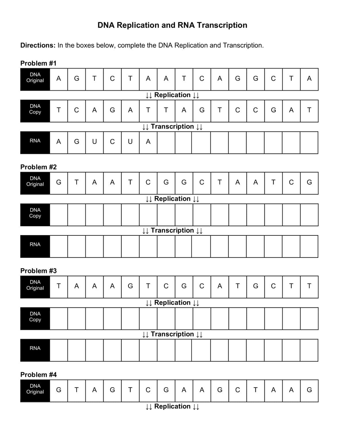 Directions: In the boxes below, complete the DNA Replication and Transcription.
Problem #1
DNA
Original
DNA
Copy
RNA
Problem #2
DNA
Original
DNA
Copy
RNA
DNA
Copy
A
Problem #3
DNA
Original
RNA
|TG|
T
G
Problem #4
DNA
Original
AG
T
G
T
A
T
DNA Replication and RNA Transcription
T
T
A
с T
A
G
U C U
A A T
A
A
G
G
T
A
↓↓ Replication ↓↓
T
|A|
А
↓↓Transcription↓↓
C
A
T
T
G G
T C
C
↓↓Replication ↓↓
↓↓ Transcription ↓↓
G
↓↓ Replication ↓↓
G
GC T
G с
↓↓Transcription ↓↓↓
A
↓↓ Replication ↓↓
T с
A
AA G
G
T
A
G
T
C
A
G
C
T
G
T
C
=|T|
Т
T A
A
A T
T
G
C T T
C
AT
G