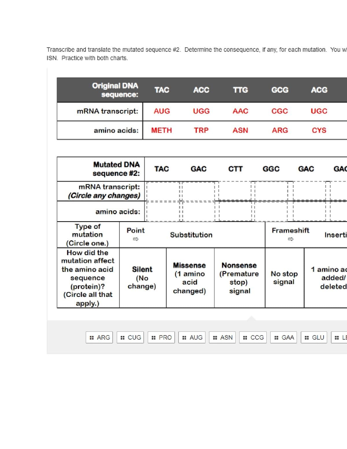 Transcribe and translate the mutated sequence # 2. Determine the consequence, if any, for each mutation. You wi
ISN. Practice with both charts.
Original DNA
sequence:
mRNA transcript:
amino acids:
Mutated DNA
sequence #2:
mRNA transcript:
(Circle any changes)
amino acids:
Type of
mutation
(Circle one.)
How did the
mutation affect
the amino acid
sequence
(protein)?
(Circle all that
apply.)
#ARG
Point
TAC
AUG
METH
TAC
Silent
(No
change)
||
||
CUG #PRO
ACC
UGG
TRP
GAC
Substitution
Missense
(1 amino
acid
changed)
#AUG
TTG
AAC
ASN
ASN
CTT
Nonsense
(Premature
stop)
signal
GCG
CGC
ARG
GGC
Frameshift
No stop
signal
ACG
UGC
CYS
GAC
GAC
# CCG #GAA #GLU
Inserti
1 amino ac
added/
deleted
LE