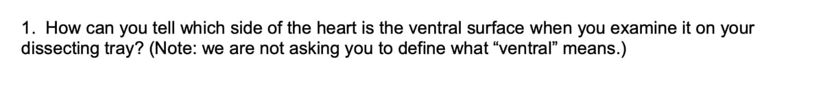 1. How can you tell which side of the heart is the ventral surface when you examine it on your
dissecting tray? (Note: we are not asking you to define what "ventral" means.)
