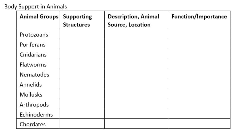 Body Support in Animals
Animal Groups Supporting
Structures
Protozoans
Poriferans
Cnidarians
Flatworms
Nematodes
Annelids
Mollusks
Arthropods
Echinoderms
Chordates
Description, Animal
Source, Location
Function/Importance