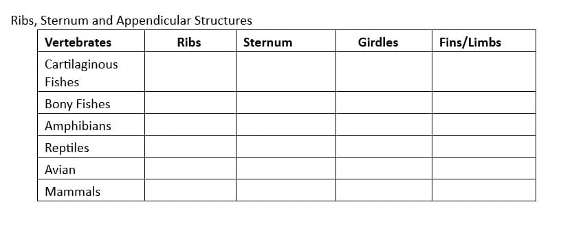 Ribs, Sternum and Appendicular Structures
Vertebrates
Cartilaginous
Fishes
Bony Fishes
Amphibians
Reptiles
Avian
Mammals
Ribs
Sternum
Girdles
Fins/Limbs